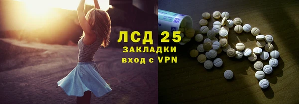 индика Балабаново