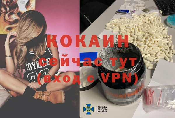 индика Балабаново