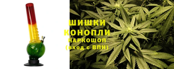индика Балабаново