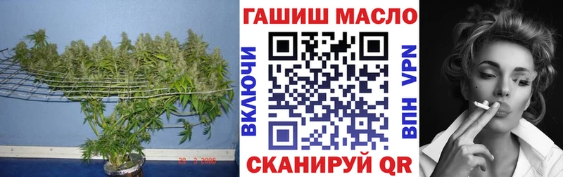hydra рабочий сайт  Георгиевск  Дистиллят ТГК гашишное масло 