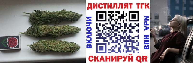 ТГК Wax Георгиевск