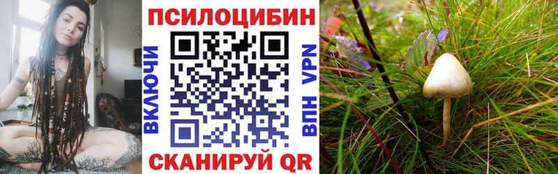 Псилоцибиновые грибы Cubensis  Георгиевск 