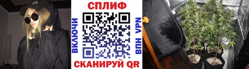 Конопля MAZAR  купить  сайты  Георгиевск 